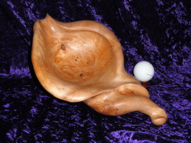 Alder Burl Sea Shell