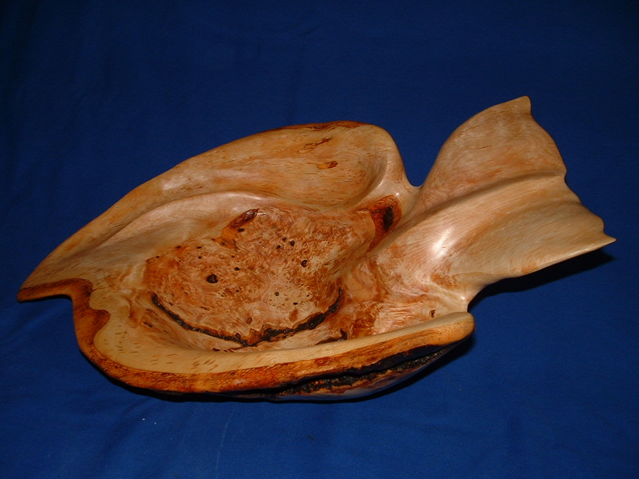 Birdseye Alder Burl Whale Tail (SOLD)