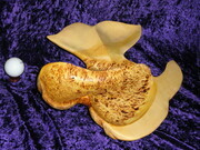 Birdseye Yellow Cedar Mini Whale Tail Bowl
