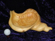 Birdseye Yellow Cedar Sea Shell (SOLD)