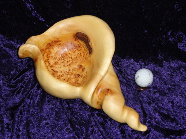 Birdseye Yellow Cedar Sea Shell (SOLD)