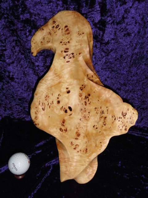 Dancing Eagle - Lombardy Poplar Burl