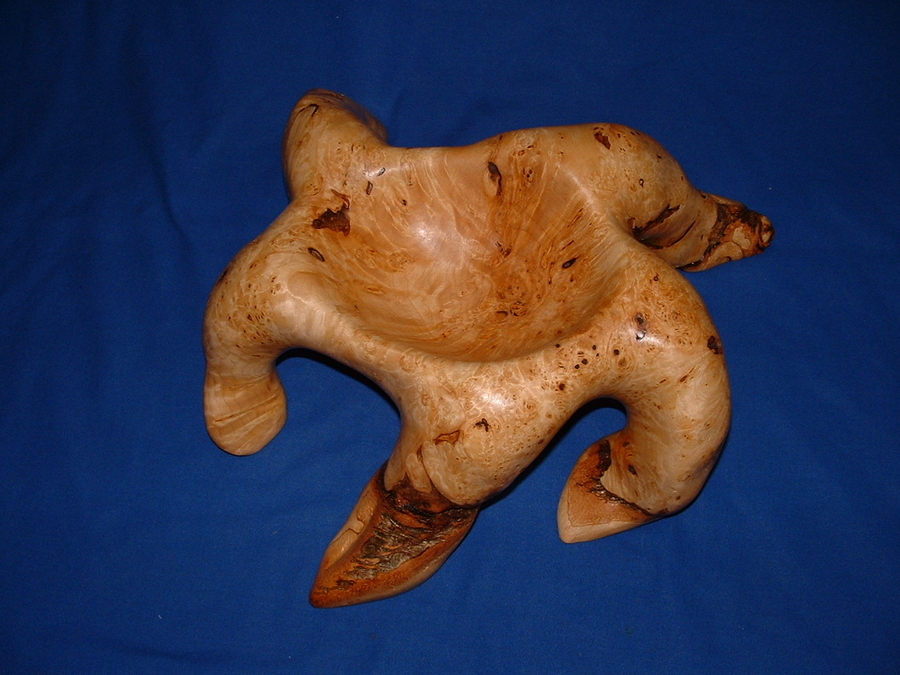 Dancing Sea Star (Birdseye Maple Burl)  (SOLD)