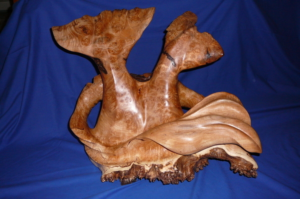 Double Whale Tail (Birdseye Maple Burl)