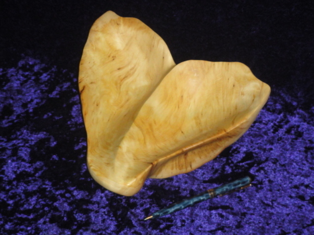 Golden Tail - Yellow Cedar Burl