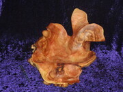 'Springer' (Sculpted on the first day of Spring)  Red Cedar Burl