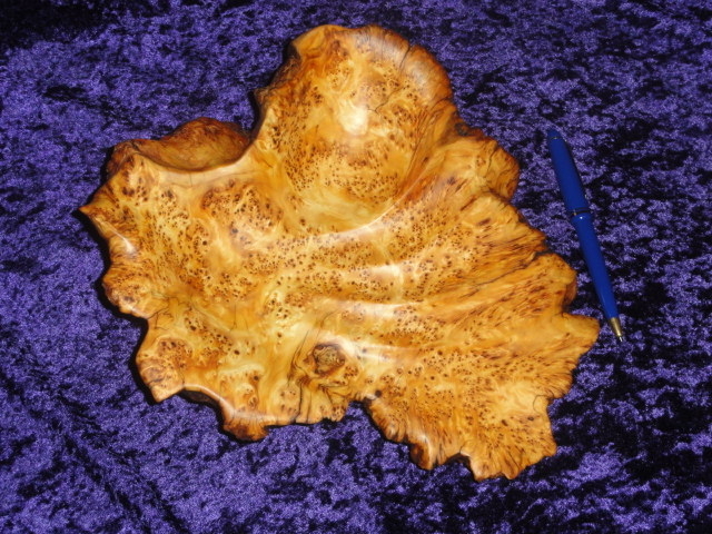 'Free Flow' - Birdseye Yellow Cedar Burl