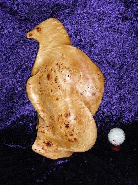 Eagle Chick - Lombardy Poplar Burl (SOLD)