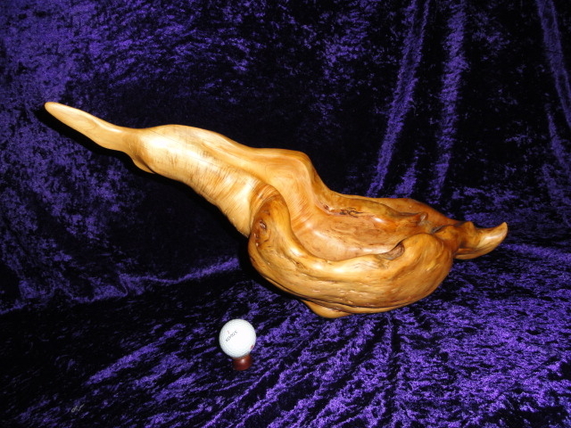 Flight Fantasy - Yellow Cedar Burl