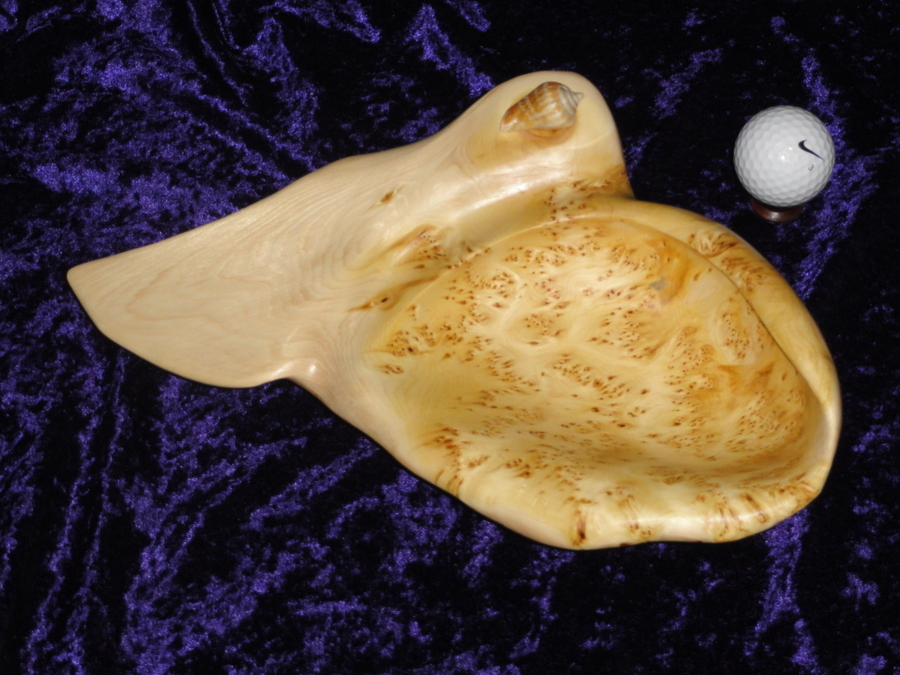 Shell Embellished Birdseye Yellow Cedar Swoop Bowl