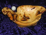 'Imagine' - What do you see?ellow Cedar Burl with Bark Inclusions