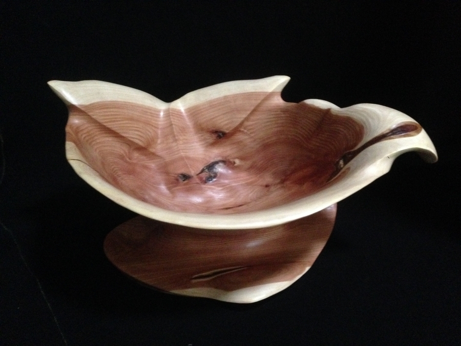 Whale of a Bowl