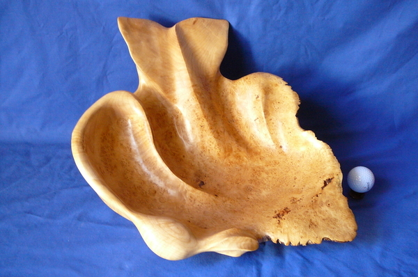 In the Kelp (Birdseye Maple Burl) (SOLD)