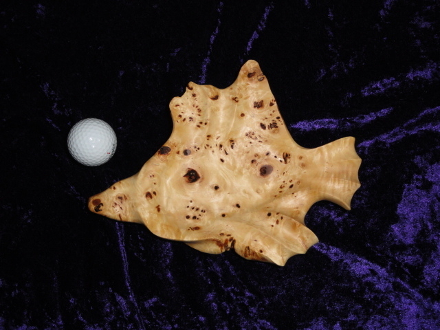 Little Fish - Lombardy Poplar Burl