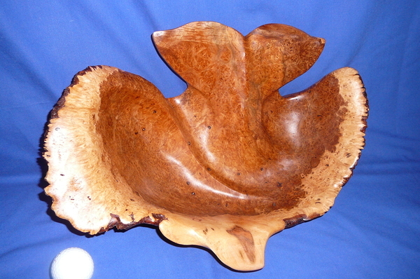 Maple Burl Whale Tail Bowl (UNAVAILABLE)