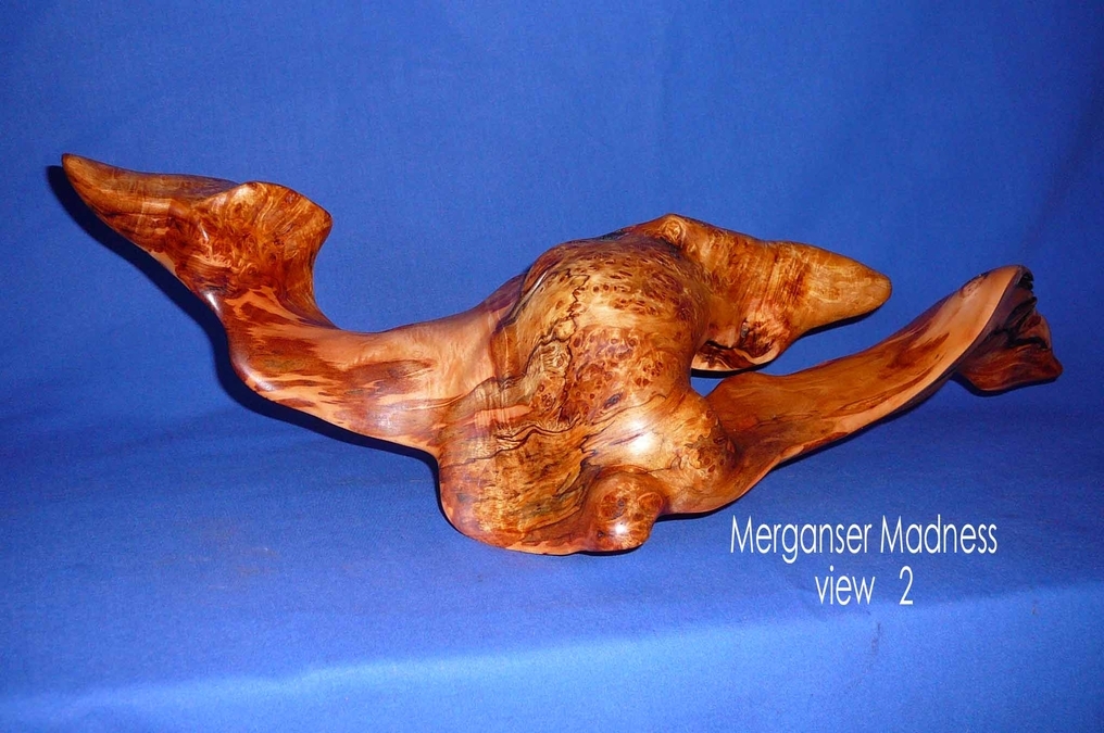 Merganser Madness (Alder) (SOLD)