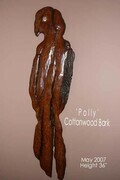 Polly (Cottonwood Bark)
