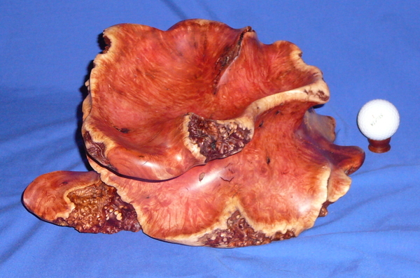 Revers-a-Bowl (Manzanita Burl) - View 1 (SOLD)