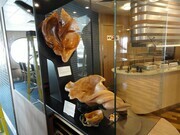 These Merlayna sculptures are on permanent display on BC Ferries Northern Expedition
