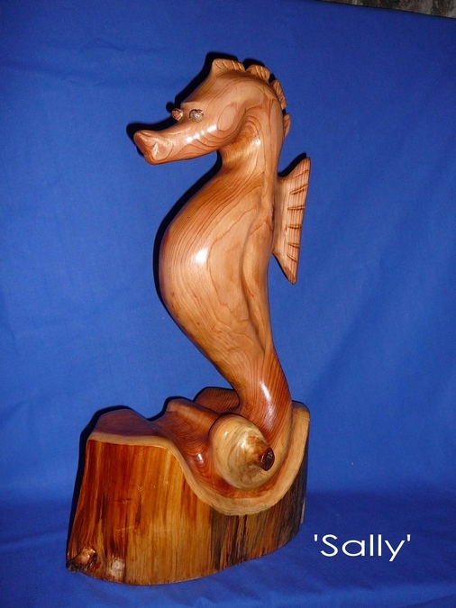 Sally Seahorse (Red Cedar)