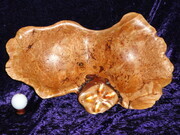 Sea Star Double Dip - Birdseye Maple Burl with Variegated Gold Leaf Sea Star (SOLD)