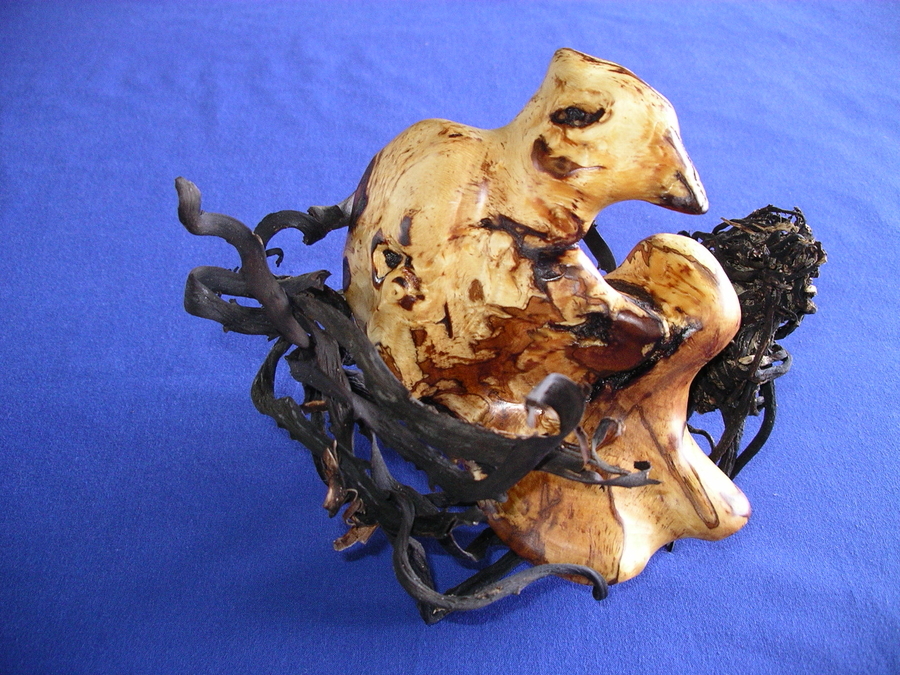 Spalted Maple Bird in Seaweed Nest