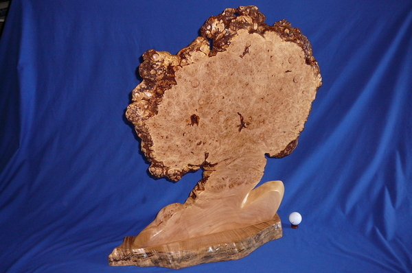 Lone Tree Standing - Birdseye Maple Burl (SOLD)