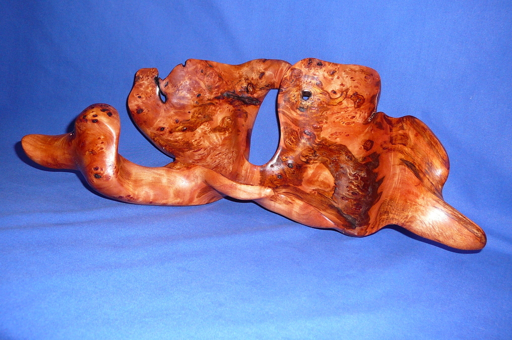 Survivor (Alder Driftwood) (SOLD)