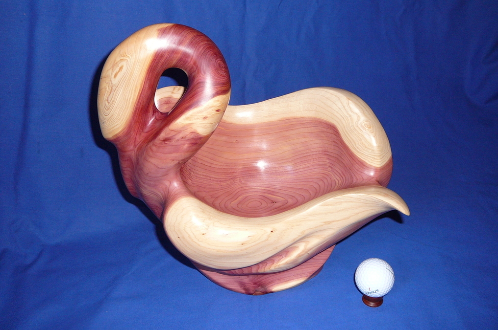 Swan (Rocky Mountain Juniper) (UNAVAILABLE)