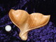 This quilted maple mini-whale tail comes with a twist....to use as a handle