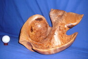 Whale Tail Bowl (Birdseye Alder Burl) (SOLD)