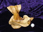 Whale Tail mini bowl from Horse Chestnut Wood (SOLD)