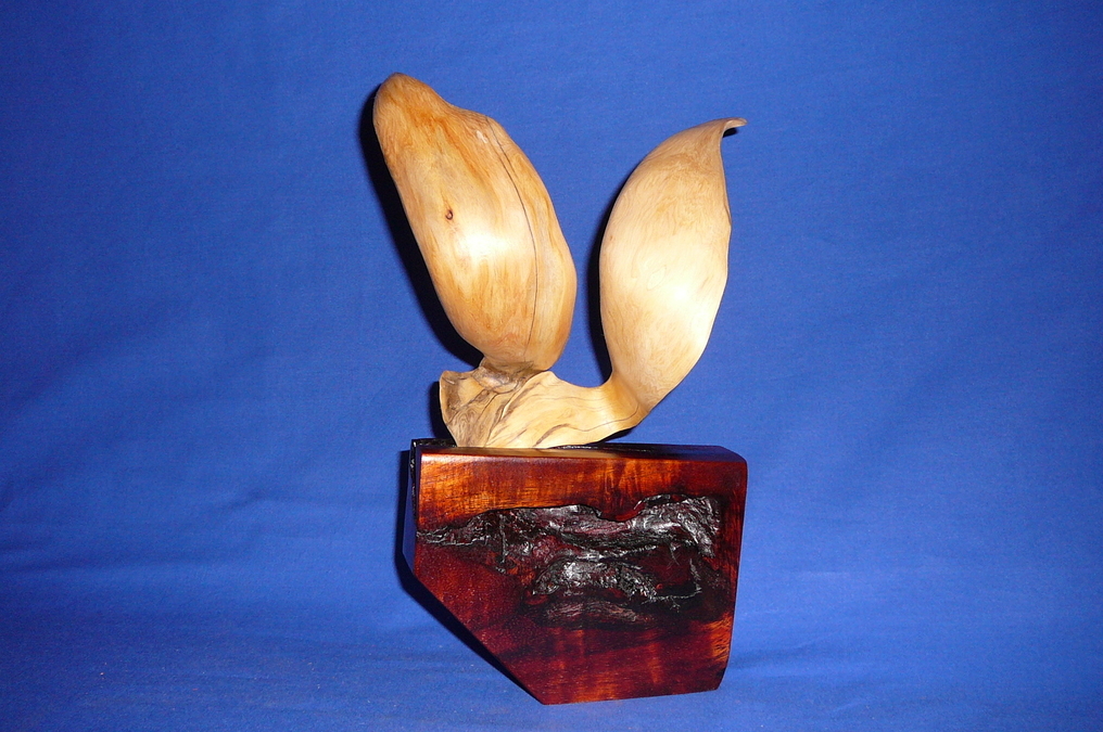 Wings (Yellow Cedar on Koa)