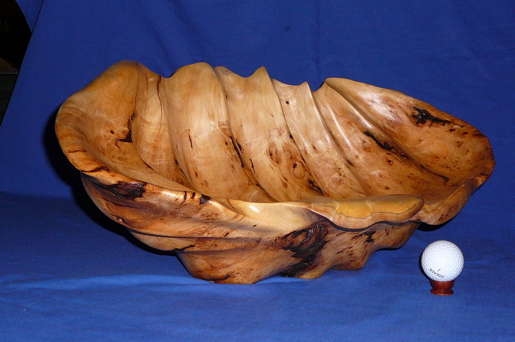 Yellow Cedar Burl Clamshell (SOLD)