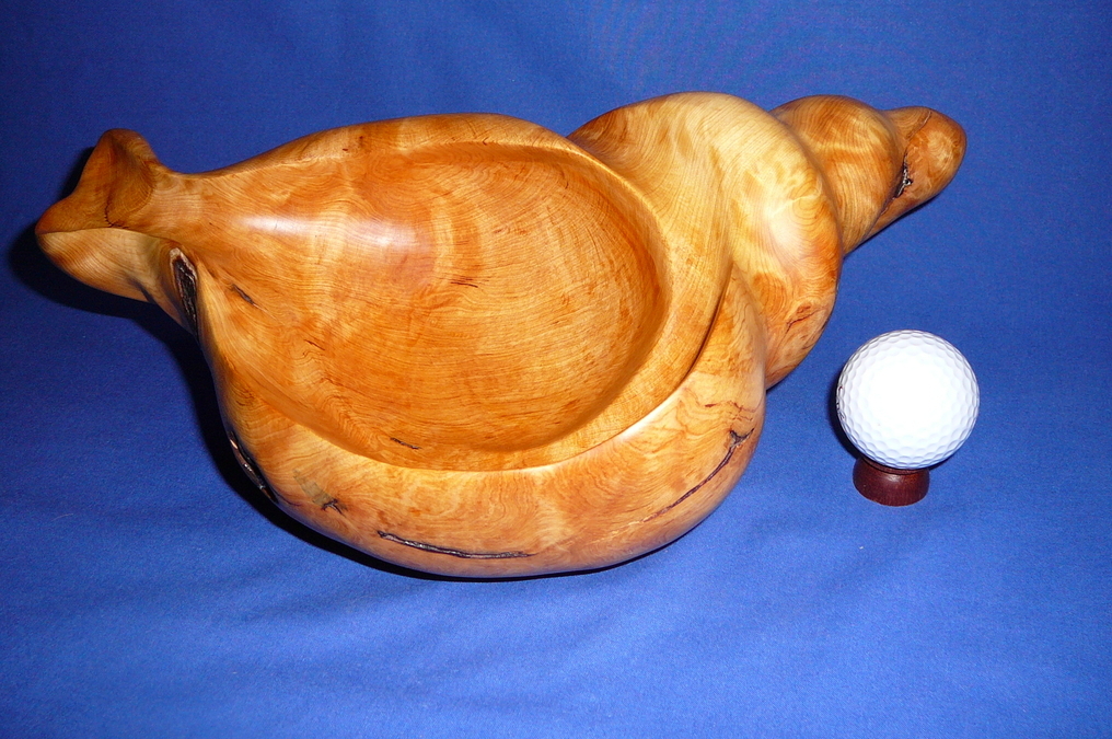 Yellow Cedar Shell (SOLD)